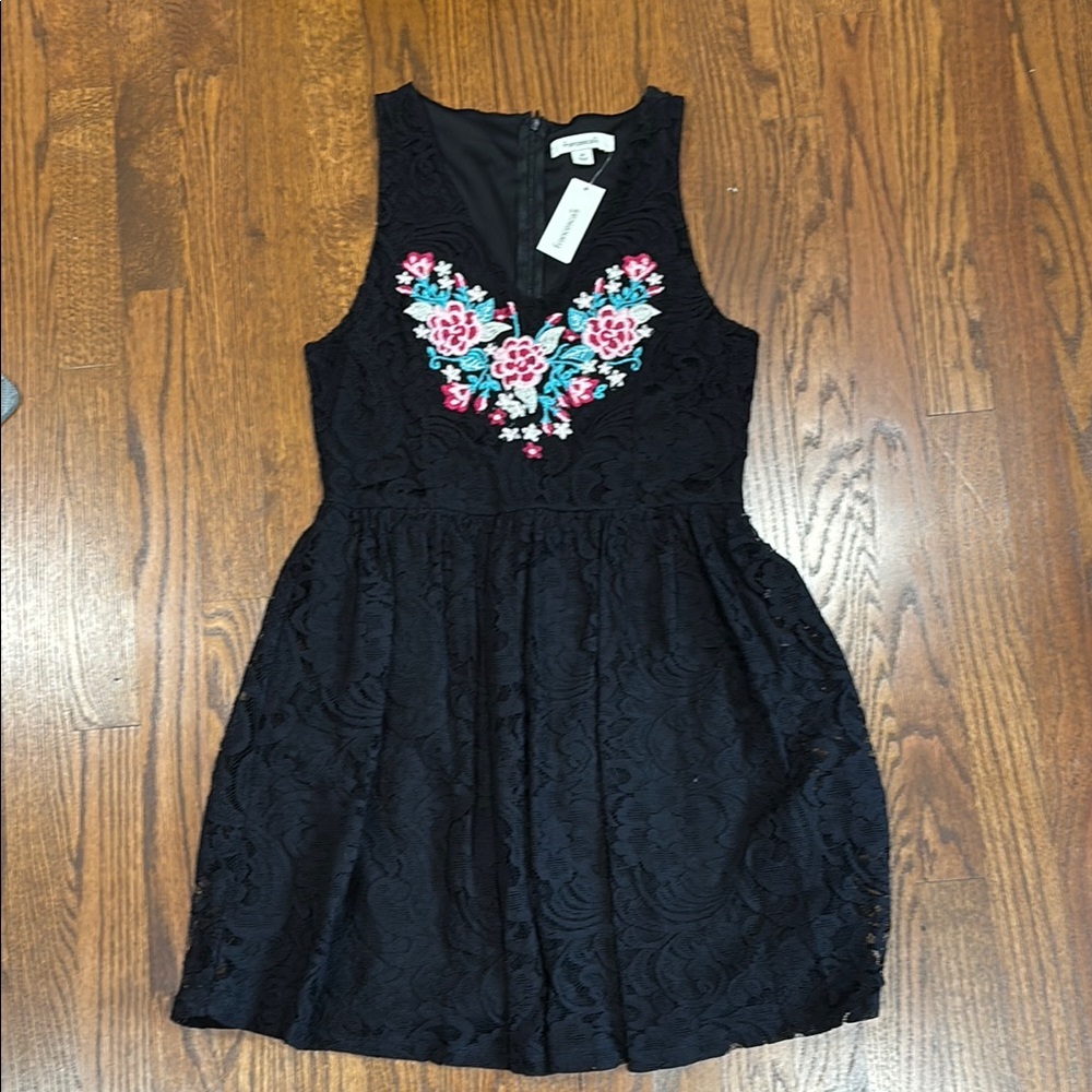 Francesca's Collections Black Lace Dress with Floral Embroidery
